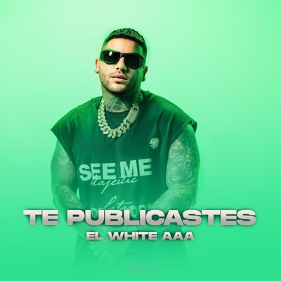 Te Publicaste - Single