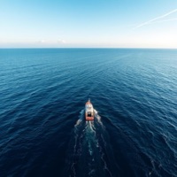 VHZ - Single - 10 10 100