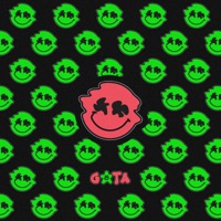 Gata - Single - Lion La Voz