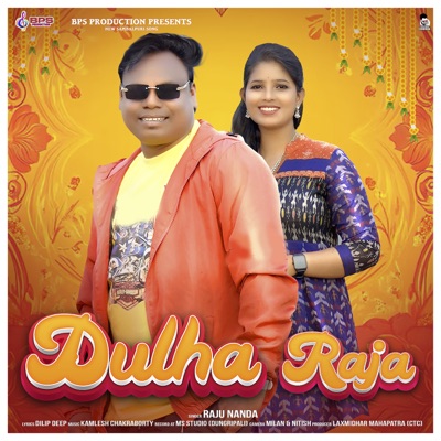 Dulha Raja - Single