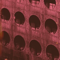 D4mn - Single - Malewear