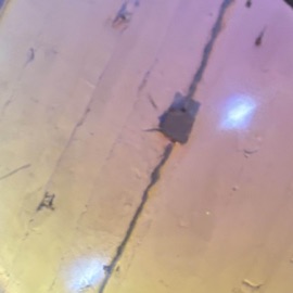 love and guns carbine