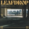 Leaf Drop