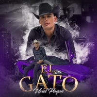 El Gato - Single - Uziel Payan
