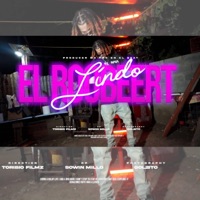 Lindo (feat. Mc Pro En El Beat) - Single - El Roobeert