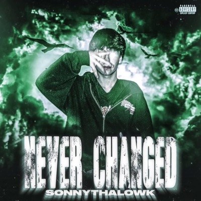 Never Changed - Single
