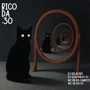 BICO DA .30 (feat. DJ Guxthavo SC, MC RR do Campos & MC VK DA VS)