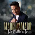 A FESTA VAI BONITA