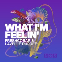 What I'm Feelin' - Single - Freshcobar & Lavelle Dupree