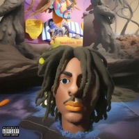 Peace (feat. Percatric, wizardpem & Dj Ob1) - Single - DREAMTHUG