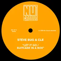 Let It Go — Steve Bug, Cle
