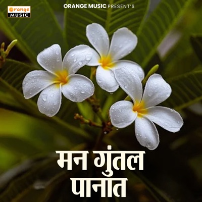 Man Guntala Panat - Single