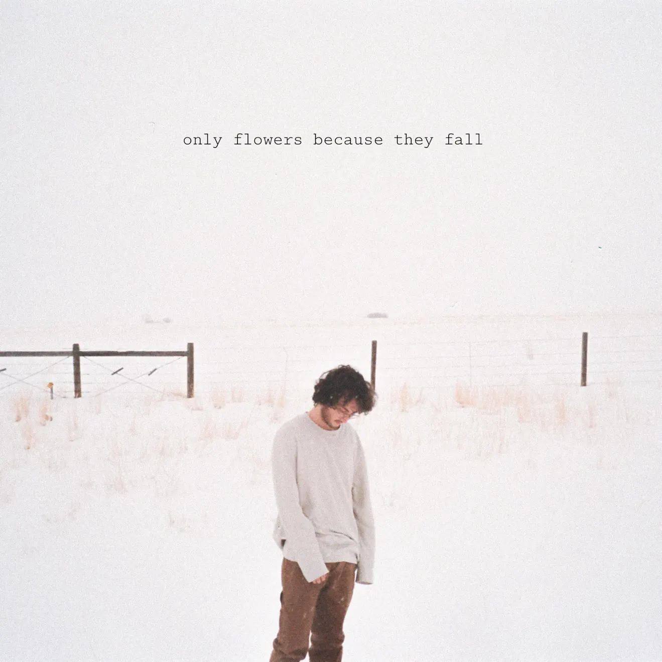 COULOU – only flowers because they fall (2024) [iTunes Match M4A]