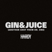 Gin & Juice (Another Shot From Dr. Dre) artwork