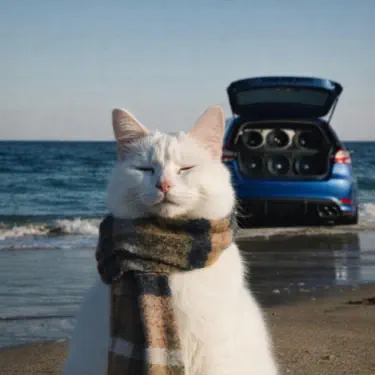 Montagem Miau X Mylancore (EDM)