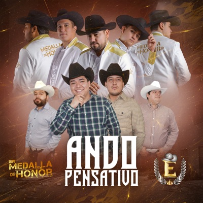 Ando Pensativo - Single