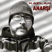 Anarşi - Kaplan