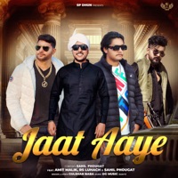 Jaat Aaye (feat. Amit Malik & RS Luhach & Sahil Phougat) - Single - Gulshan Baba