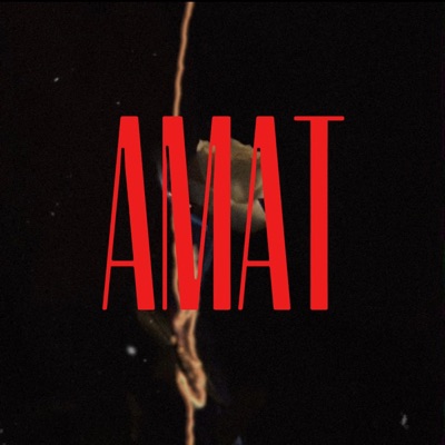 AMAT - Single