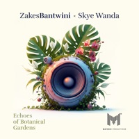 Phezulu - Single - Zakes Bantwini & Skye Wanda