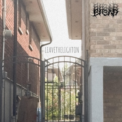 LEAVETHELIGHTON (feat. BRKR.) - Single