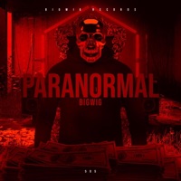 PARANORMAL - Single - BigWig
