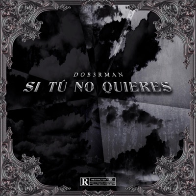 Si Tú No Quieres - Single