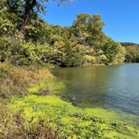 on the low - Single - drxl