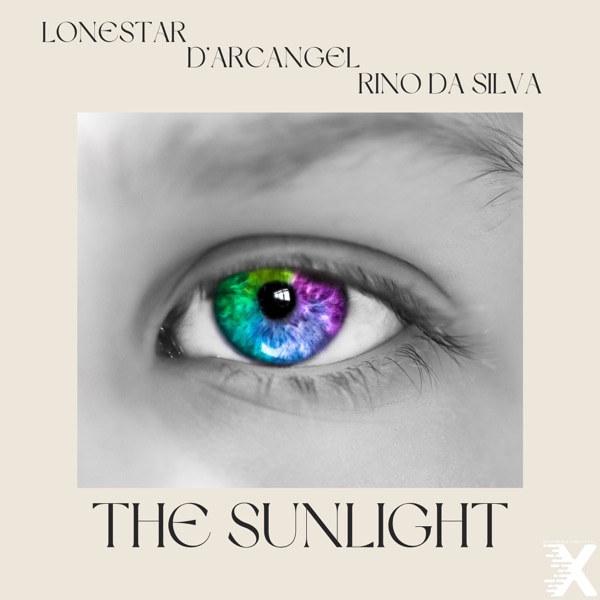 The Sunlight - Single