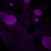 Bling (feat. HoeDatzJayden & AntDawg) - Single - 824Motion