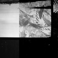 Will as Still as the River - Single - Emerald Ancients