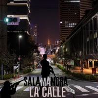 la calle (feat. salamandra) - Single - Theflow Films Record