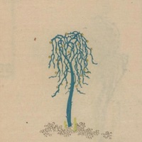Growing - Single - KNOX