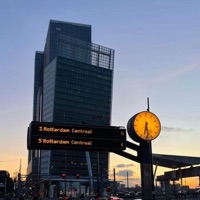 rotterdam - Single - yungaim