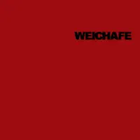 Pichanga — Weichafe
