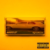 WARD 37 - EP - PyroSA