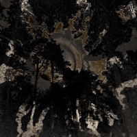 Collasped Into The Leaking Sun, Pt. 1 - EP - Scarletbrides