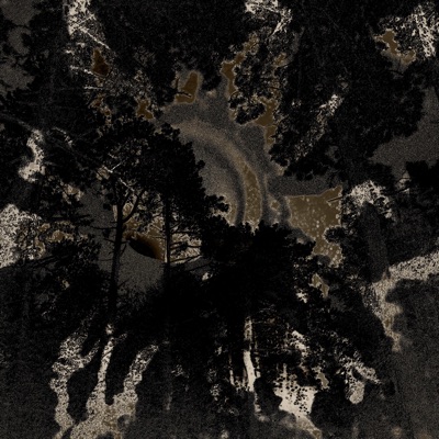 Collasped Into The Leaking Sun, Pt. 1 - EP