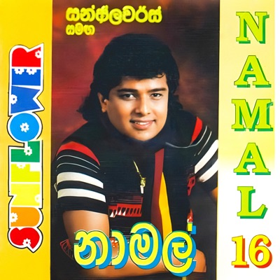 Song - Samadara (feat. Bodhiya Amarasinghe) - Namal Udugama