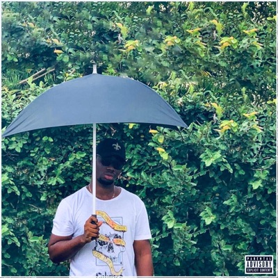 Music That Heals: Beneath The Garden - Single