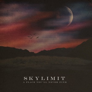 A Place You'll Never Find (feat. Sophie Burrell, Bradley Hall & Dylan Roy) - Single