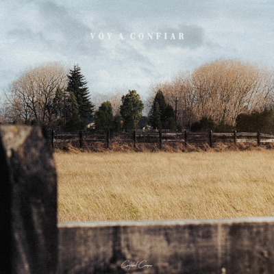 Voy A Confiar - Single