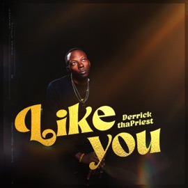Like You (Radio Edit) Derrick thaPriest