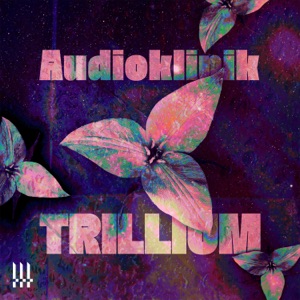 Trillium - Single
