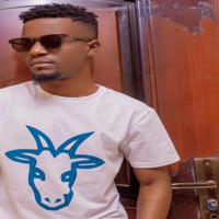 Dollars on me - Single - King Planuh