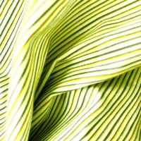 rfnk - Single - Daisuke Miyatani