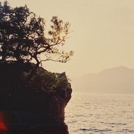 Half Moon Bay Thymes