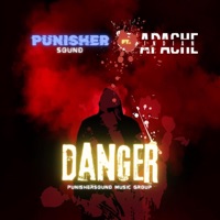 Danger (feat. Apache Indian) - Single - PunisherSOUND