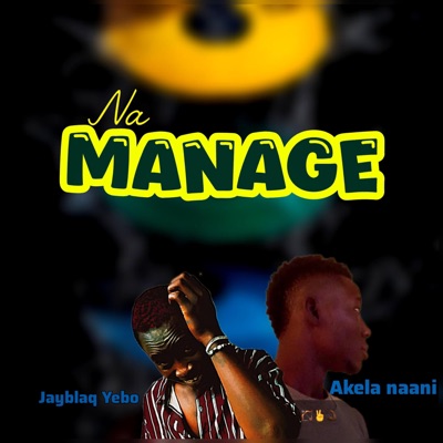 Na Manage (feat. Akela Naani) - Single