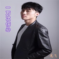 一万次伤心 - Single - Fei Long